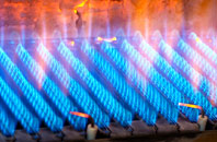 Dalmellington gas fired boilers